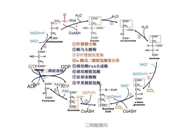 新闻资讯